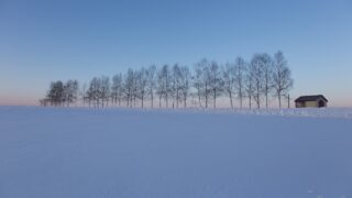 nature, winter, trees-956682.jpg