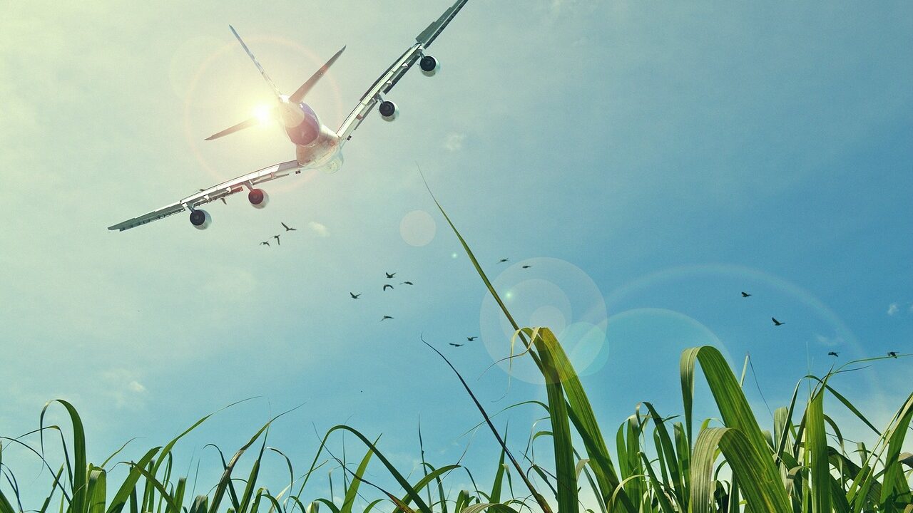 airplane, nature, flight-465723.jpg